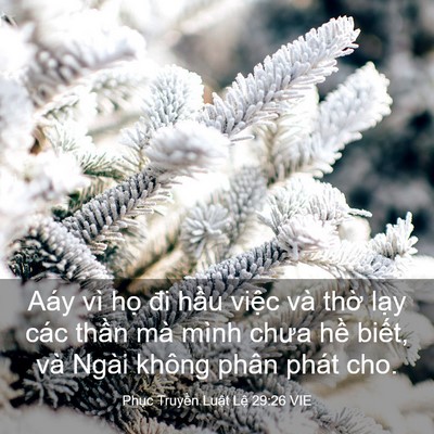 Picture 03 - Phục Truyền Luật Lệ 29:26 VIE - Aáy vì họ đi hầu việc và thờ lạy - Bible Verse Picture
