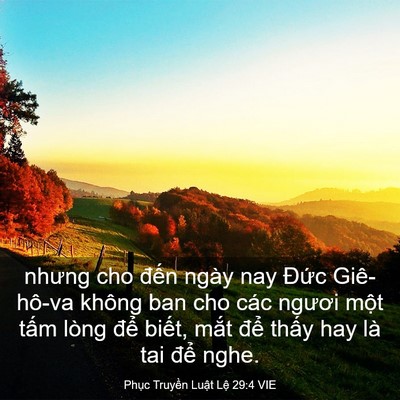 Picture 03 - Phục Truyền Luật Lệ 29:4 VIE - nhưng cho đến ngày nay Đức Giê-hô-va - Bible Verse Picture