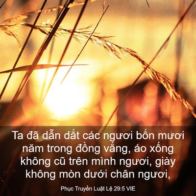 Picture 03 - Phục Truyền Luật Lệ 29:5 VIE - Ta đã dẫn dắt các ngươi bốn mươi - Bible Verse Picture
