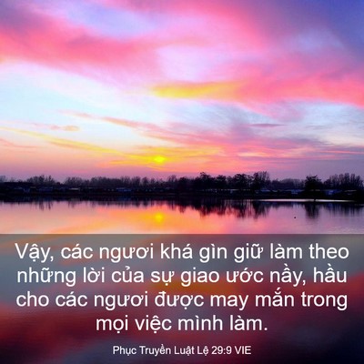 Picture 03 - Phục Truyền Luật Lệ 29:9 VIE - Vậy, các ngươi khá gìn giữ làm theo - Bible Verse Picture
