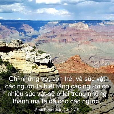 Picture 03 - Phục Truyền Luật Lệ 3:19 VIE - Chỉ những vợ, con trẻ, và súc vật - Bible Verse Picture