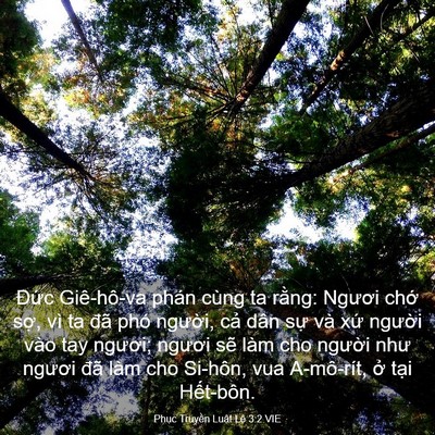 Picture 03 - Phục Truyền Luật Lệ 3:2 VIE - Đức Giê-hô-va phán cùng ta rằng: Ngươi - Bible Verse Picture