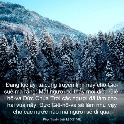 Picture 03 - Phục Truyền Luật Lệ 3:21 VIE - Đang lúc ấy, ta cũng truyền lịnh nầy - Bible Verse Picture