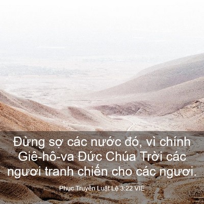 Picture 03 - Phục Truyền Luật Lệ 3:22 VIE - Đừng sợ các nước đó, vì chính - Bible Verse Picture