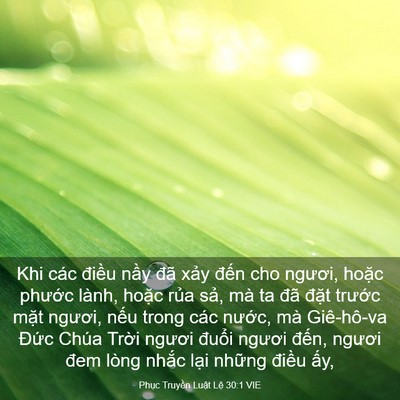 Picture 03 - Phục Truyền Luật Lệ 30:1 VIE - Khi các điều nầy đã xảy đến cho - Bible Verse Picture