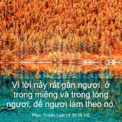 Picture 03 - Phục Truyền Luật Lệ 30:14 VIE - Vì lời nầy rất gần ngươi, ở trong - Bible Verse Picture