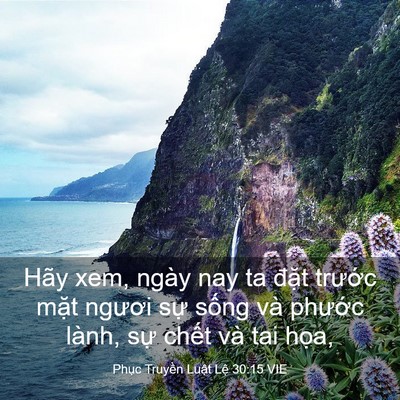 Picture 03 - Phục Truyền Luật Lệ 30:15 VIE - Hãy xem, ngày nay ta đặt trước mặt - Bible Verse Picture