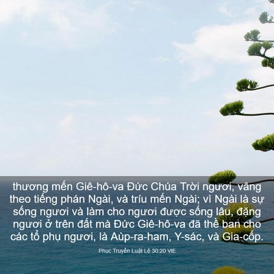 Picture 03 - Phục Truyền Luật Lệ 30:20 VIE - thương mến Giê-hô-va Đức Chúa Trời - Bible Verse Picture