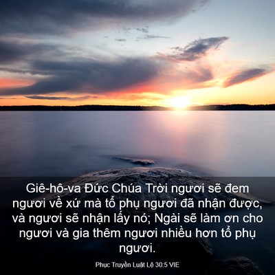 Picture 03 - Phục Truyền Luật Lệ 30:5 VIE - Giê-hô-va Đức Chúa Trời ngươi sẽ đem - Bible Verse Picture