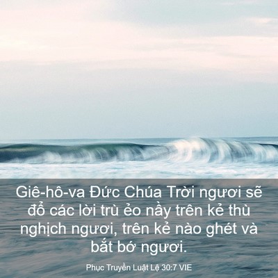 Picture 03 - Phục Truyền Luật Lệ 30:7 VIE - Giê-hô-va Đức Chúa Trời ngươi sẽ - Bible Verse Picture