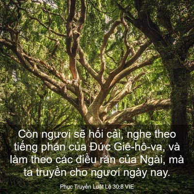 Picture 03 - Phục Truyền Luật Lệ 30:8 VIE - Còn ngươi sẽ hối cải, nghe theo tiếng - Bible Verse Picture