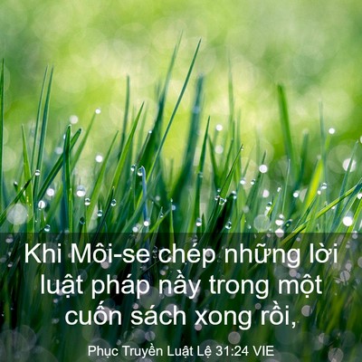 Picture 03 - Phục Truyền Luật Lệ 31:24 VIE - Khi Môi-se chép những lời luật pháp - Bible Verse Picture