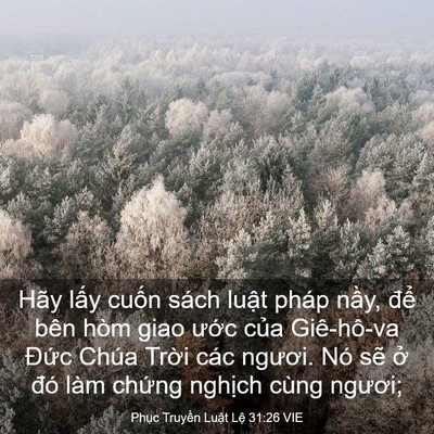 Picture 03 - Phục Truyền Luật Lệ 31:26 VIE - Hãy lấy cuốn sách luật pháp nầy, để - Bible Verse Picture