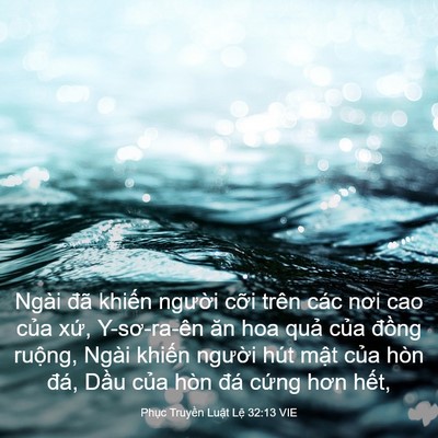 Picture 03 - Phục Truyền Luật Lệ 32:13 VIE - Ngài đã khiến người cỡi trên các nơi - Bible Verse Picture