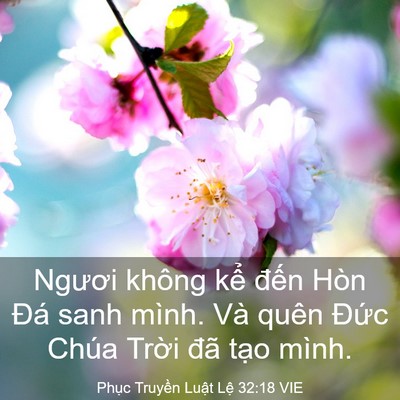 Picture 03 - Phục Truyền Luật Lệ 32:18 VIE - Ngươi không kể đến Hòn Đá sanh mình. - Bible Verse Picture