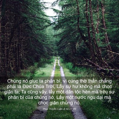 Picture 03 - Phục Truyền Luật Lệ 32:21 VIE - Chúng nó giục ta phân bì, vì cúng thờ - Bible Verse Picture