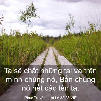 Picture 03 - Phục Truyền Luật Lệ 32:23 VIE - Ta sẽ chất những tai vạ trên mình - Bible Verse Picture