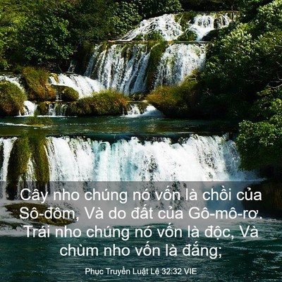 Picture 03 - Phục Truyền Luật Lệ 32:32 VIE - Cây nho chúng nó vốn là chồi của - Bible Verse Picture