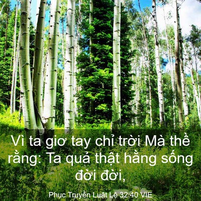 Picture 03 - Phục Truyền Luật Lệ 32:40 VIE - Vì ta giơ tay chỉ trời Mà thề rằng: Ta - Bible Verse Picture