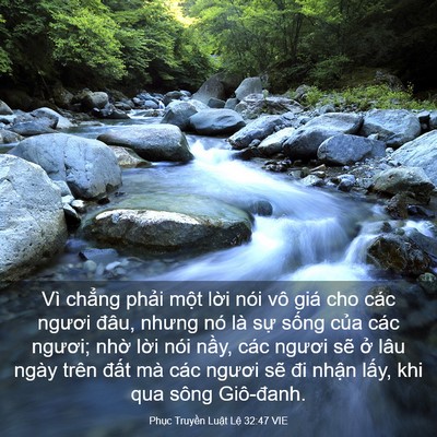 Picture 03 - Phục Truyền Luật Lệ 32:47 VIE - Vì chẳng phải một lời nói vô giá cho - Bible Verse Picture