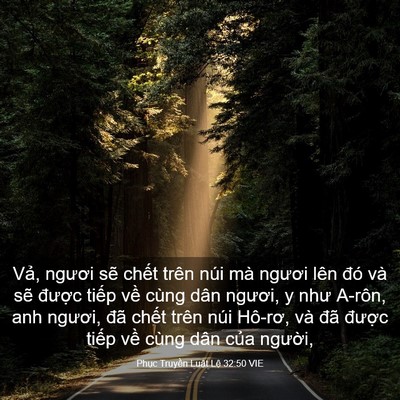 Picture 03 - Phục Truyền Luật Lệ 32:50 VIE - Vả, ngươi sẽ chết trên núi mà ngươi - Bible Verse Picture