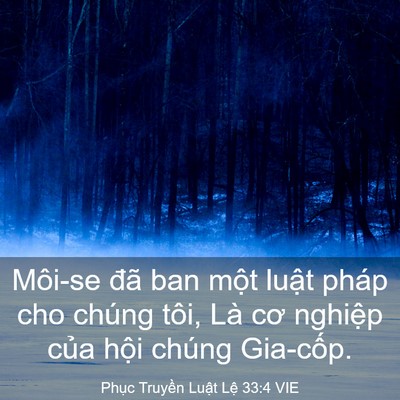Picture 03 - Phục Truyền Luật Lệ 33:4 VIE - Môi-se đã ban một luật pháp cho chúng - Bible Verse Picture