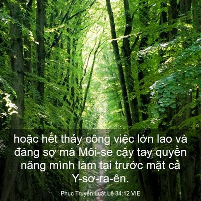 Picture 03 - Phục Truyền Luật Lệ 34:12 VIE - hoặc hết thảy công việc lớn lao và - Bible Verse Picture