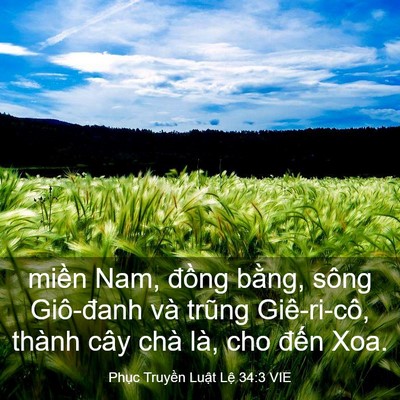 Picture 03 - Phục Truyền Luật Lệ 34:3 VIE - miền Nam, đồng bằng, sông Giô-đanh và - Bible Verse Picture