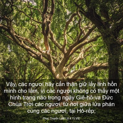 Picture 03 - Phục Truyền Luật Lệ 4:15 VIE - Vậy, các ngươi hãy cẩn thận giữ lấy - Bible Verse Picture