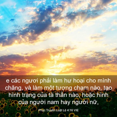 Picture 03 - Phục Truyền Luật Lệ 4:16 VIE - e các ngươi phải làm hư hoại cho mình - Bible Verse Picture