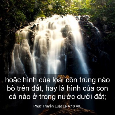 Picture 03 - Phục Truyền Luật Lệ 4:18 VIE - hoặc hình của loài côn trùng nào bò - Bible Verse Picture