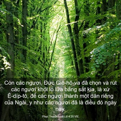Picture 03 - Phục Truyền Luật Lệ 4:20 VIE - Còn các ngươi, Đức Giê-hô-va đã chọn - Bible Verse Picture