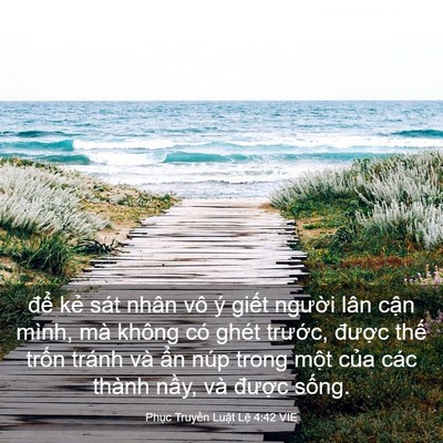 Picture 03 - Phục Truyền Luật Lệ 4:42 VIE - để kẻ sát nhân vô ý giết người lân - Bible Verse Picture