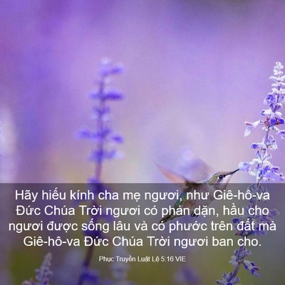 Picture 03 - Phục Truyền Luật Lệ 5:16 VIE - Hãy hiếu kính cha mẹ ngươi, như - Bible Verse Picture