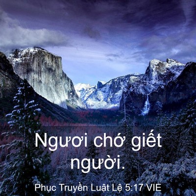 Picture 03 - Phục Truyền Luật Lệ 5:17 VIE - Ngươi chớ giết - Bible Verse Picture