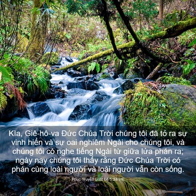 Picture 03 - Phục Truyền Luật Lệ 5:24 VIE - Kìa, Giê-hô-va Đức Chúa Trời chúng tôi - Bible Verse Picture