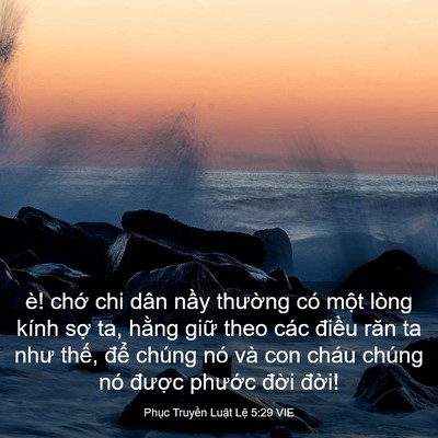 Picture 03 - Phục Truyền Luật Lệ 5:29 VIE - è! chớ chi dân nầy thường có một - Bible Verse Picture