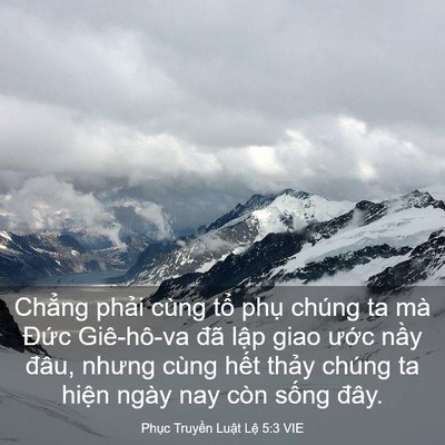 Picture 03 - Phục Truyền Luật Lệ 5:3 VIE - Chẳng phải cùng tổ phụ chúng ta mà - Bible Verse Picture