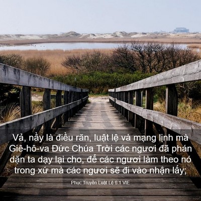 Picture 03 - Phục Truyền Luật Lệ 6:1 VIE - Vả, nầy là điều răn, luật lệ và - Bible Verse Picture