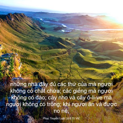 Picture 03 - Phục Truyền Luật Lệ 6:11 VIE - những nhà đầy đủ các thứ của mà - Bible Verse Picture