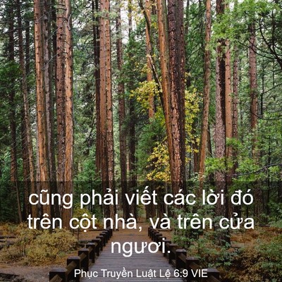 Picture 03 - Phục Truyền Luật Lệ 6:9 VIE - cũng phải viết các lời đó trên cột - Bible Verse Picture