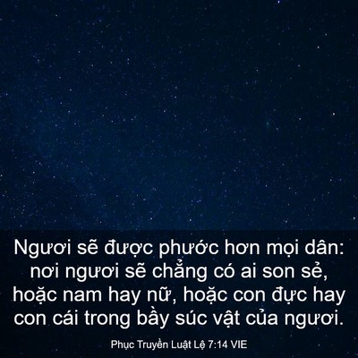 Picture 03 - Phục Truyền Luật Lệ 7:14 VIE - Ngươi sẽ được phước hơn mọi dân: - Bible Verse Picture