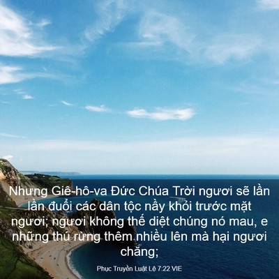 Picture 03 - Phục Truyền Luật Lệ 7:22 VIE - Nhưng Giê-hô-va Đức Chúa Trời ngươi - Bible Verse Picture