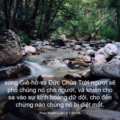 Picture 03 - Phục Truyền Luật Lệ 7:23 VIE - song Giê-hô-va Đức Chúa Trời ngươi sẽ - Bible Verse Picture
