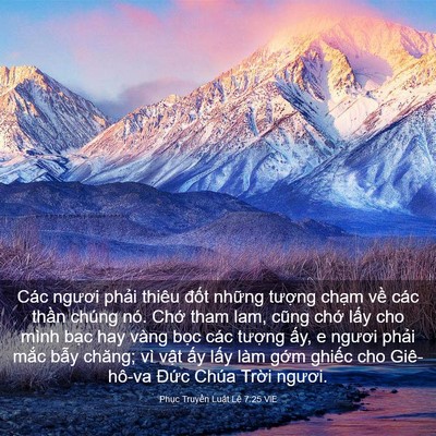 Picture 03 - Phục Truyền Luật Lệ 7:25 VIE - Các ngươi phải thiêu đốt những - Bible Verse Picture
