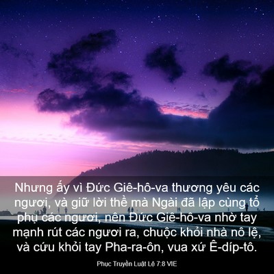 Picture 03 - Phục Truyền Luật Lệ 7:8 VIE - Nhưng ấy vì Đức Giê-hô-va thương yêu - Bible Verse Picture
