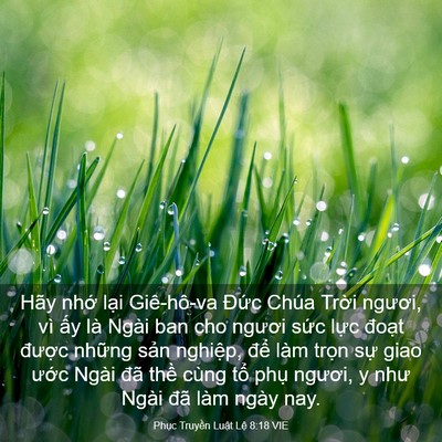 Picture 03 - Phục Truyền Luật Lệ 8:18 VIE - Hãy nhớ lại Giê-hô-va Đức Chúa Trời - Bible Verse Picture