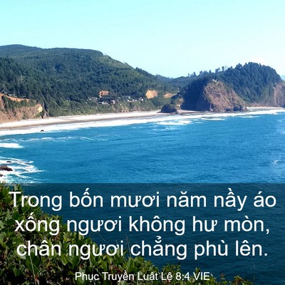 Picture 03 - Phục Truyền Luật Lệ 8:4 VIE - Trong bốn mươi năm nầy áo xống ngươi - Bible Verse Picture