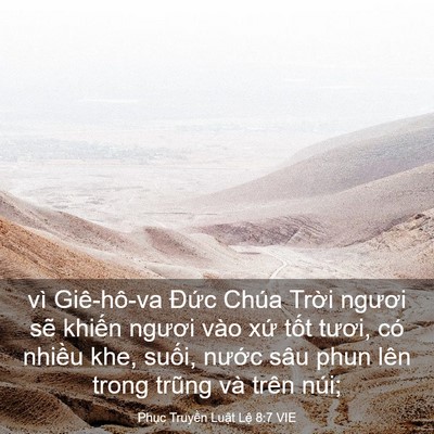 Picture 03 - Phục Truyền Luật Lệ 8:7 VIE - vì Giê-hô-va Đức Chúa Trời ngươi sẽ - Bible Verse Picture