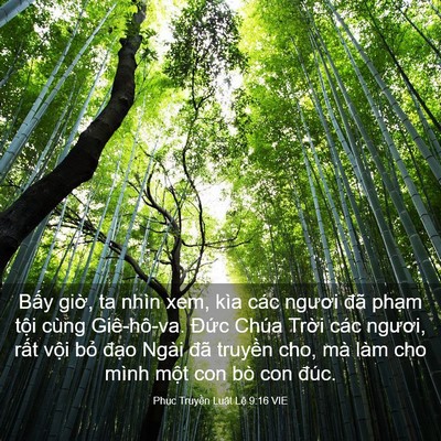 Picture 03 - Phục Truyền Luật Lệ 9:16 VIE - Bấy giờ, ta nhìn xem, kìa các ngươi đã - Bible Verse Picture
